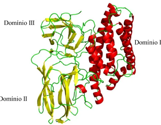 Figura 18. Estrutura tridimensional da toxina Cry1Ab obtida após modelagem por homologia.