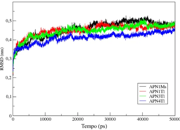 Figura  21.  Desvio  Quadrático  Médio  (RMSD)  dos  sistemas  simulados  para  APN1Ms  (preto),  APN1Tl (vermelho), APN3Tl (verde) e APN4Tl (azul).