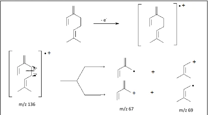 Figura 5.12. Clivagem  bialílica  