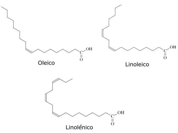Figura  3.4:  Ácidos  majoritários  do  óleo  de  soja.  Adaptado  de  Iha  e  Suarez (2009)