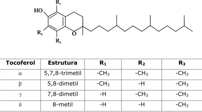 Figura  3.5:  Estrutura  química  dos  tocoferóis.  Adaptado  de  Lima  e  Gonçalves (1997)