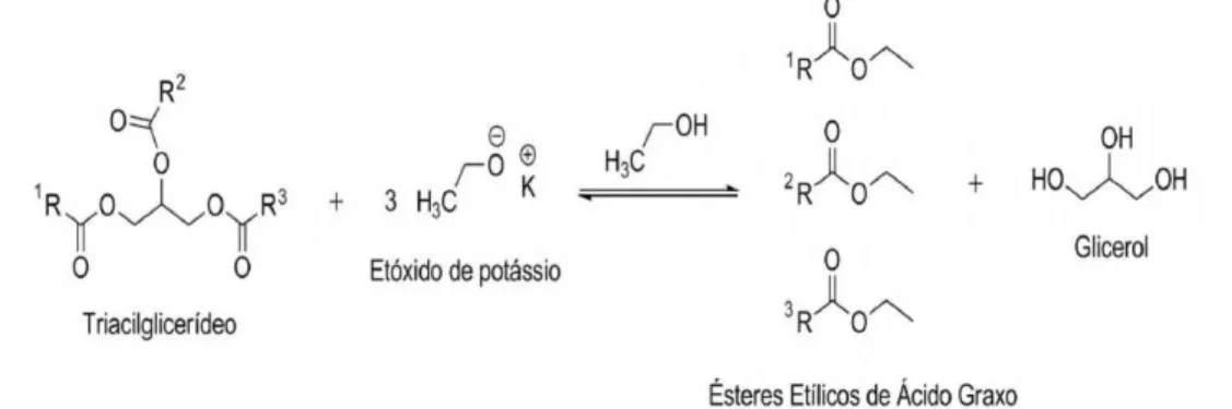 Figura  3.1  -  Esquema  da  reação  de  transesterificação  de  um  triacilglicerídeo  catalisada por base.