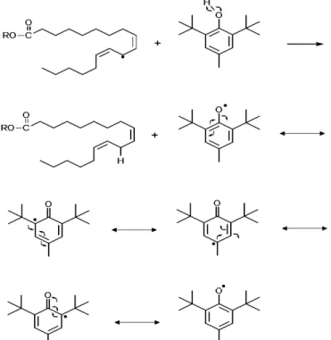 Figura 3.11 - Mecanismo de ação do antioxidante primário BHT frente ao radical do  éster linoleato de alquila