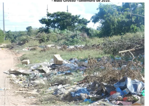 Figura 29 - Resíduos orgânicos acumulados em terreno baldio no bairro Ipase - Várzea Grande  - Mato Grosso –Setembro de 2010