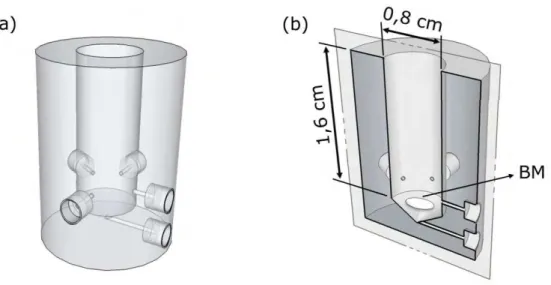 Figura  2.2  –   Ilustração  t ridim ensional  da  câm ara  de  m istura  em pregada.  ( a)  Vist a frontal e ( b)  cort e lat eral