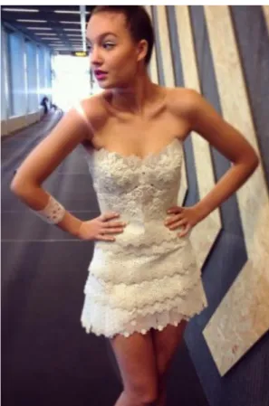 Figure 5. Dress inBloom 