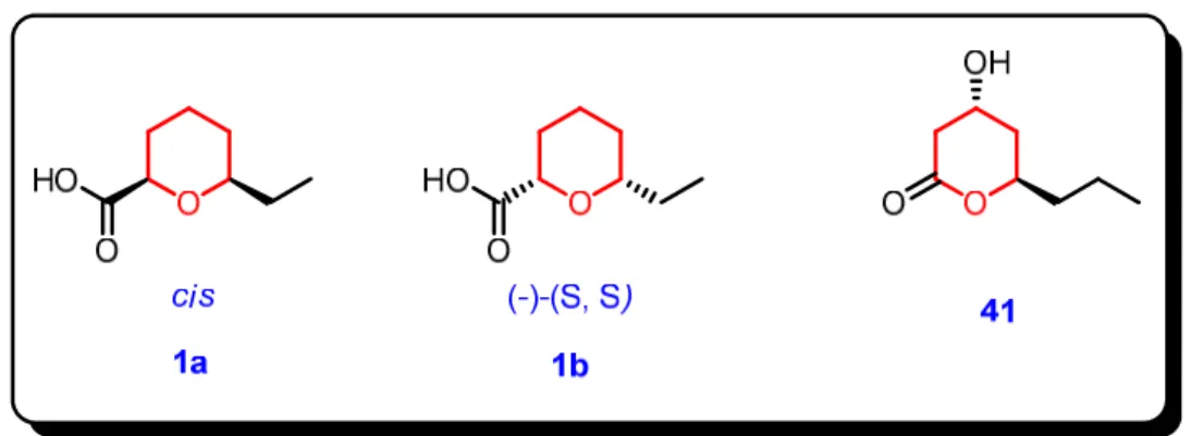 Figura 2.6 Estrutura química dos compostos  (±)- 1a, 1b e a lactona 41 