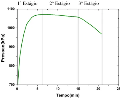 Figura 2.6. Representação esquemática da variação de pressão do teste  oxidativo PetroOXY