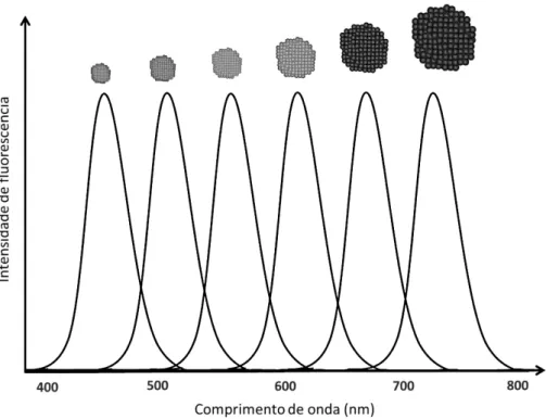 Figura 1.6. Variação dos espectros de fluorescência correspondente a amostras de diferentes tamanhos  de um mesmo tipo de PQ hipotético.