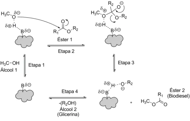 Figura 1. Mecanismo para a transesterificação alcalina heterogênea de triglicerídeos. 