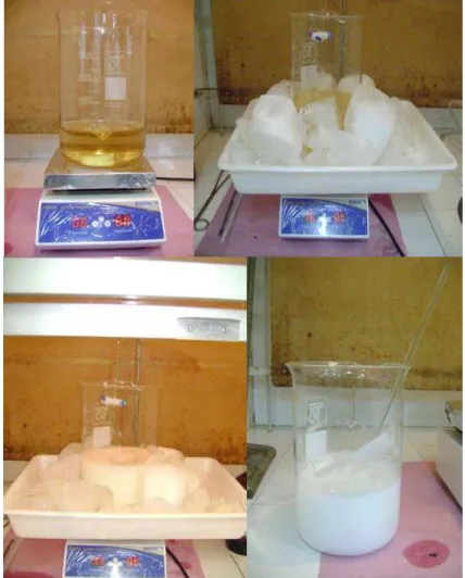 Figura 9. Preparação do precipitado de citrato de estanho. 