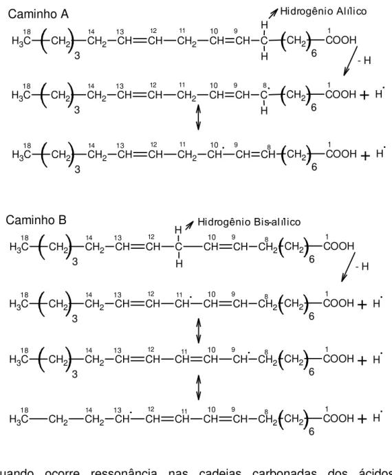 Figura  2  -  Formas  de  ressonância  do  ácido  linoléico  pela  abstração  dos  hidrogênios  alílico e bis-alílico