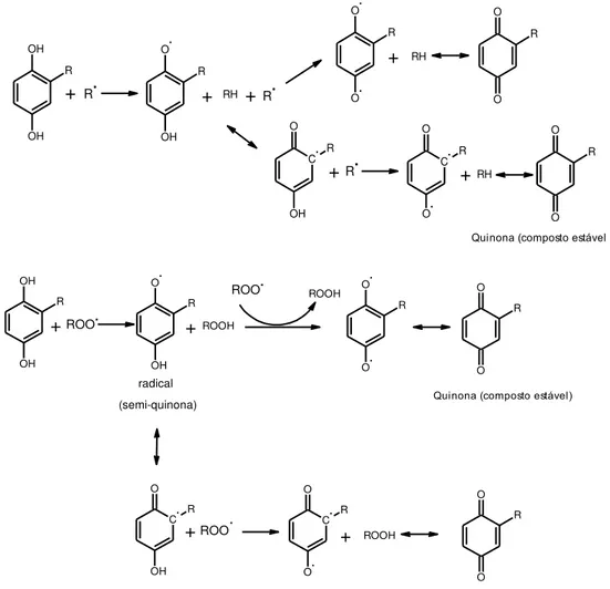 Figura 7 - Mecanismo de ação de um antioxidante diante de um radical livre. 