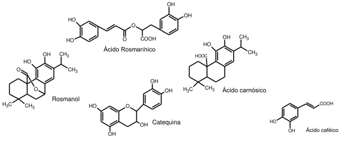 Figura 9 – Algumas estruturas de compostos fenólicos identificados no alecrim. 
