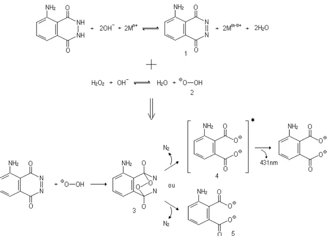 Figura  1.7  – Proposta  mecanística  de  Albertin  e  colaboradores  para  a  reação  quimiluminescente  do  luminol  em  meio  alcalino  e  na  presença  do  íon  de  um  metal  de  transição  (M n+ ),  utilizando  H 2 O 2   como  agente oxidante