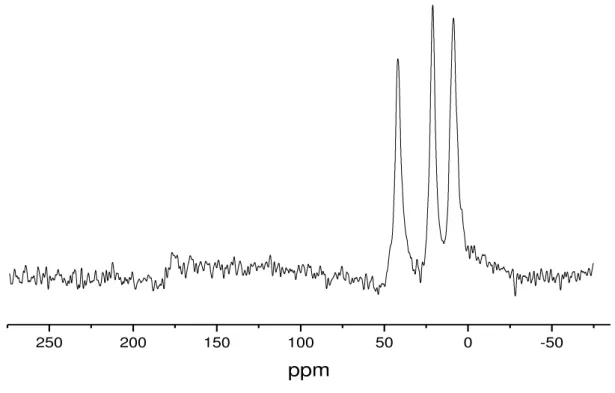 Figura 5.9  –  Espectro de RMN de  13 C da Sil-AMPTGA. 
