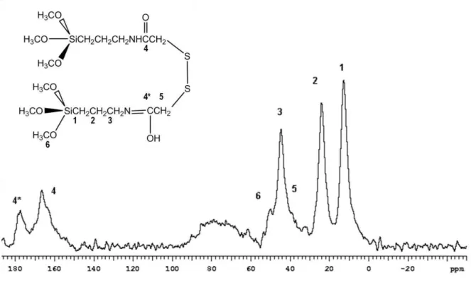 Figura 5.3 - Espectro  13 C de RMN-CPMAS do composto AMPTGA. 