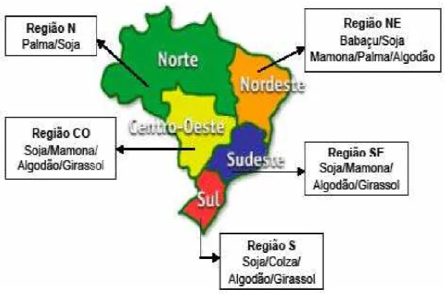 Figura 3.1 – Produção de Oleaginosas no Brasil por Região.  