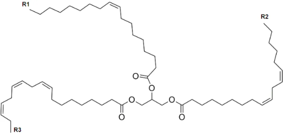Figura  3.2  –  Estrutura  geral  de  um  triacilglicerol  (R 1 ,  R 2 ,  R 3   =  grupo  alquil  saturado  ou  insaturado; podendo ser igual ou diferente)
