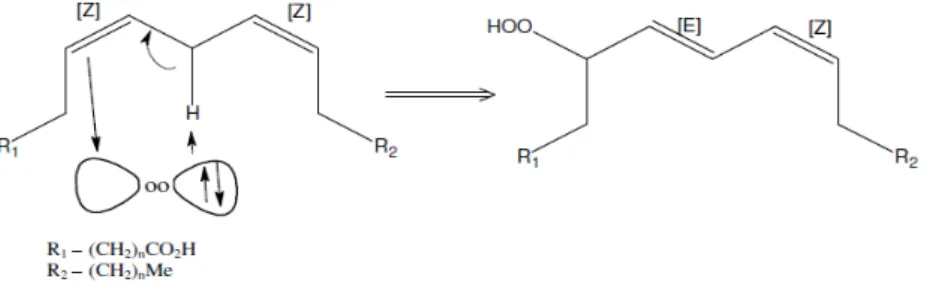 Figura 3.6 – Representação da decomposição de hidroperóxidos pela presença de cátions  metálicos