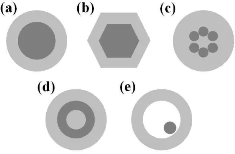 Figura 4. Diferentes tipos de sistema core@shell: (a) partículas esféricas concêntricas; 