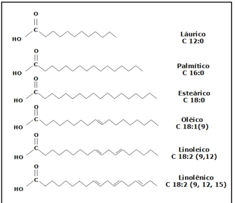 Figura 2.2. Estrutura molecular dos ácidos graxos de maior ocorrência na natureza. 