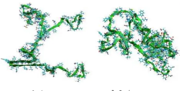 Figura  2.6  Estrutura  molecular  da  α -  e  β -caseína  (SZYK- (SZYK-WARSZYNSKA et al., 2009)