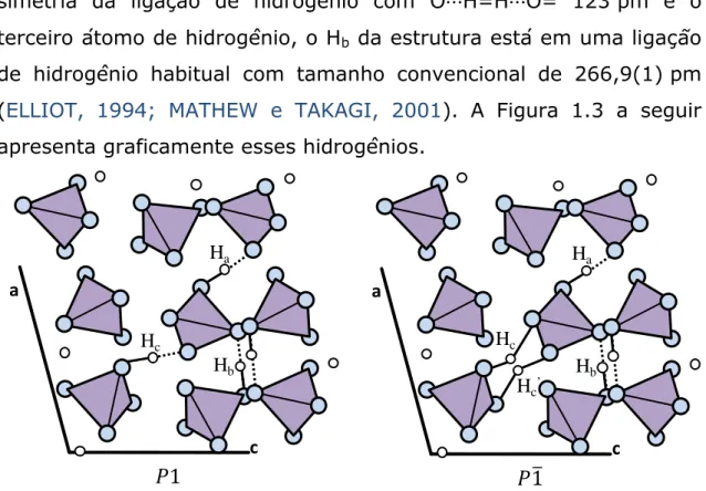 Figura 1.3 Progressão da estrutura da monetita de baixa (P1) e alta  (P1)temperatura, mostrando os tetraedros de PO 4  e as ligações de H,  adaptado de (TORTET et al., 1997)