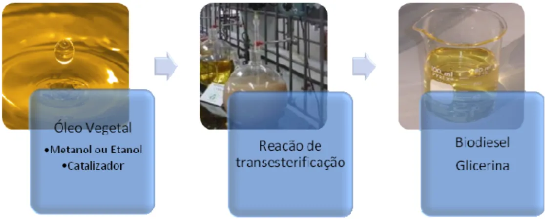 Figura 3.5 - Processo de tranesterificação 