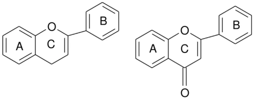 Figura 3.2 Núcleo flavonoídico e núcleo 4-oxo-flavonóide. 