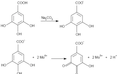 Figura 4.2 Reação do ácido gálico com molibdênio, componente do reagente de  Folin-Ciocalteau 