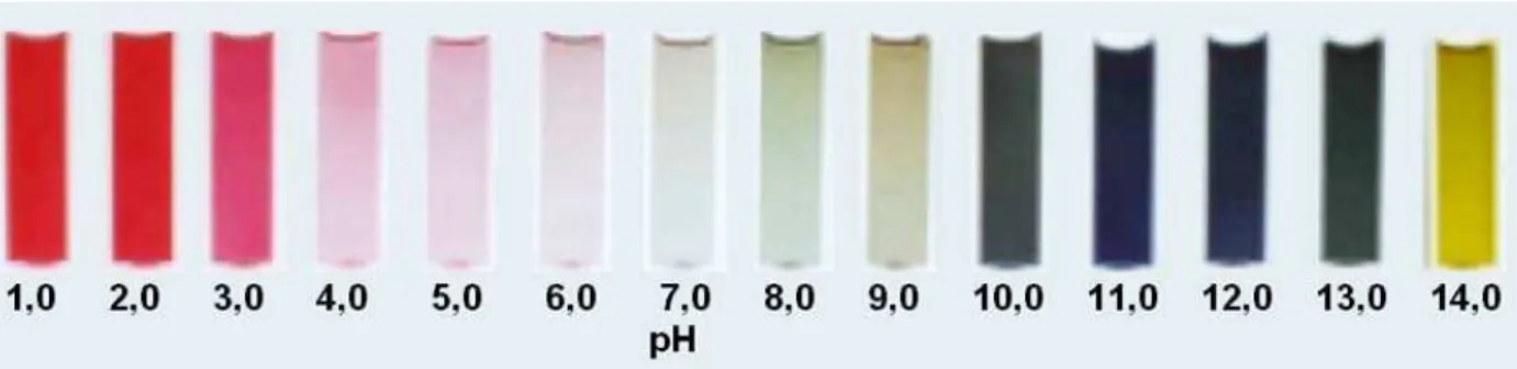 FIGURA 1.3.  Variações de cores observadas, obtidas com extrato de uva, para diferentes pH’s  (Adaptado de TERCI e ROSSI, 2002) 
