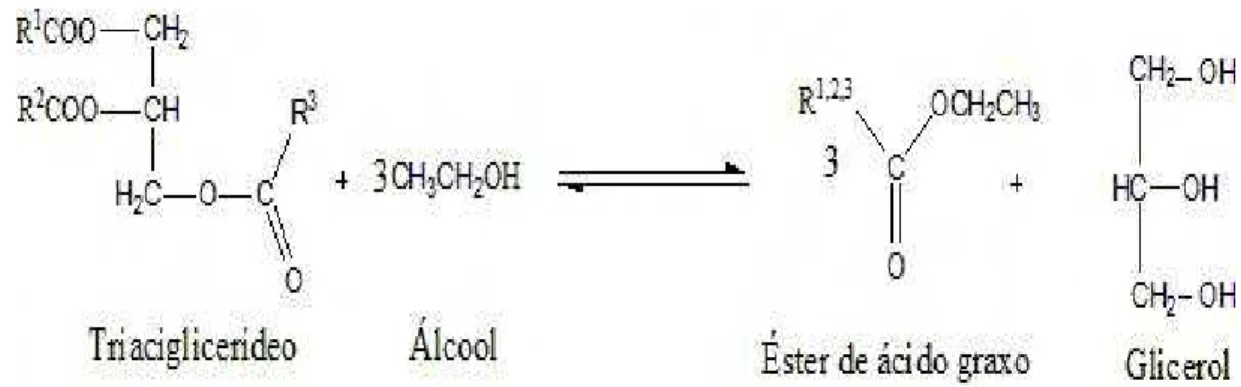Figura 2.5: Reação geral de transesterificação do triacilglicerídeo. Sendo, R1, R2 e  R3 as cadeias carbônicas dos ácidos graxos e R4 o grupo alquil do álcool