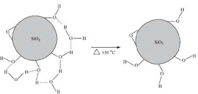 Figura  5  -  Esquema  da  remoção  da  água  de  hidratação  da  sílica  pelo  tratamento  térmico, desobstruindo os grupos silanóis (PRADO et al., 2005)