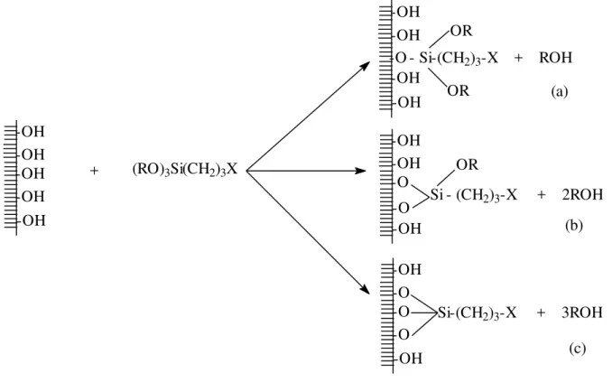 Figura  7  -  Esquema  representativo  das  diferentes  formas  de  ancoramento  dos  organossilanos  na  superfície  de  um  suporte  contendo  grupos  silanóis:  (a)  monodentado; (b) bidentado e (c) tridentado