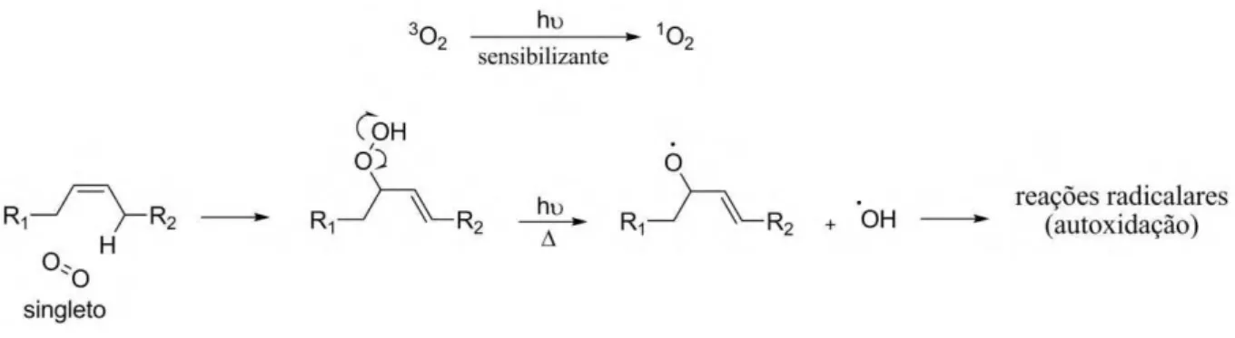 Figura  6:  Reação  entre  oxigênio  singleto  e  olefina  formando  hidroperóxido,  que  pode  ser  decomposto dando início ao processo de autoxidação
