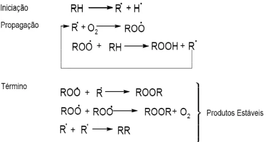 Figura 3.6 Esquema geral do mecanismo da autoxidação. RH - ácido graxo insaturado; R* -  radical livre; ROO*- radical peróxido e ROOH - hidroperóxido