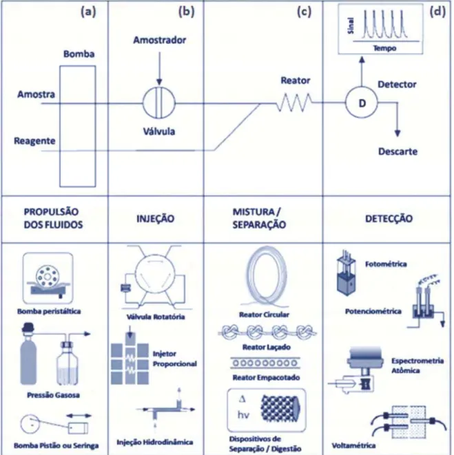 Figura 1.4 - Diagrama esquemático de um sistema de análise em fluxo simples. 