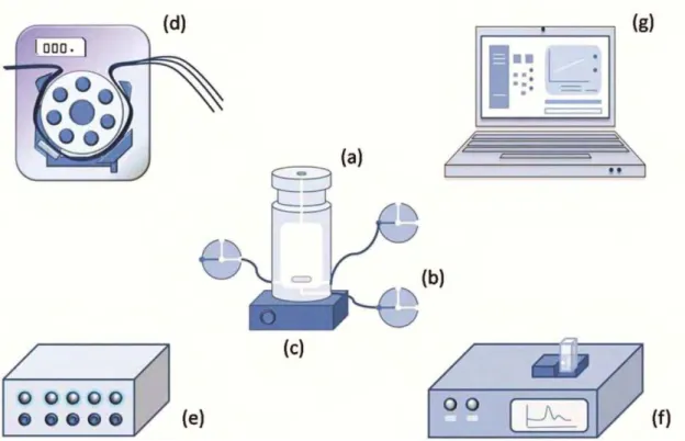 Figura 1.5 - Esquema simplificado com os componentes principais de um  sistema de análise em fluxo-batelada