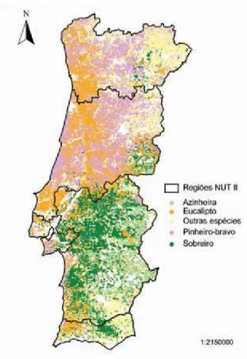 Figura 4. Área Florestal em Portugal por espécie dominante em 2005/2006 (DGRF, 2007).