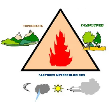 Figura 3. O triângulo do comportamento do fogo.