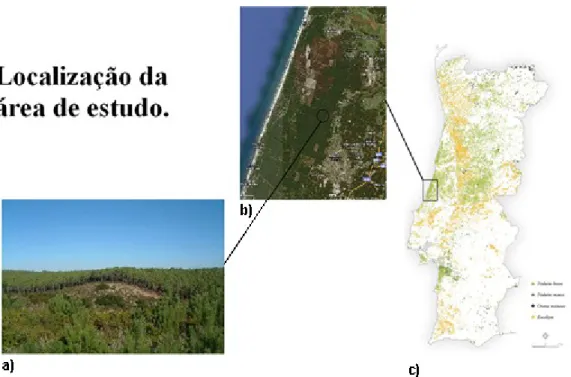Figura 5. Localização, ortofotografia e fotografia dum povoamento na Mata Nacional de Leiria