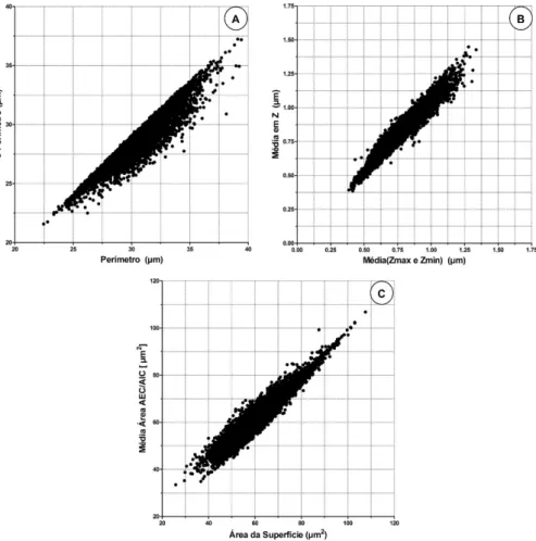 Figura 20: Em “A” correlação entre Perímetro ×  C Perímetro, em “B” correlação da média (Zmax  e  Zmin)  ×  Média em Z, em “C” correlação da média (Área – AEC/AIC) × Área da Superfície
