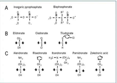 Fig. 01 A, B e C: Estrutura química do pirofosfato e de diferentes bisfosfonatos.  