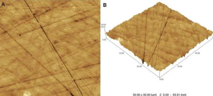 Figure  1  -  AFM  image  of enamel  surface  after  erosive  challenge  and  no-varnish  application