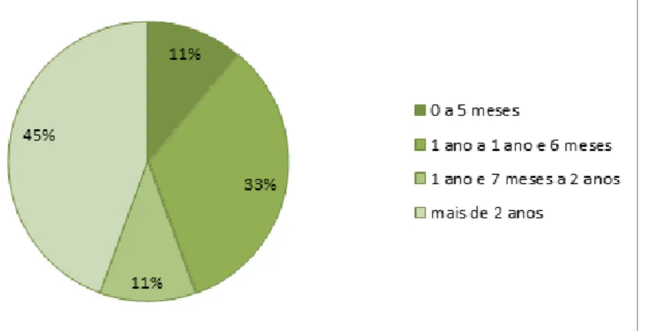 Gráfico 1: Tempo de atuação no projeto Mão Amiga CAPES/PIBID dos bolsistas acadêmicos respondentes 