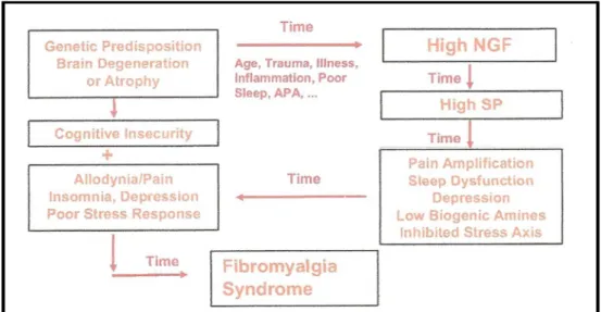 Figura 1: Modelo teórico da neurobiofisiopatogenia da fibromialgia. 