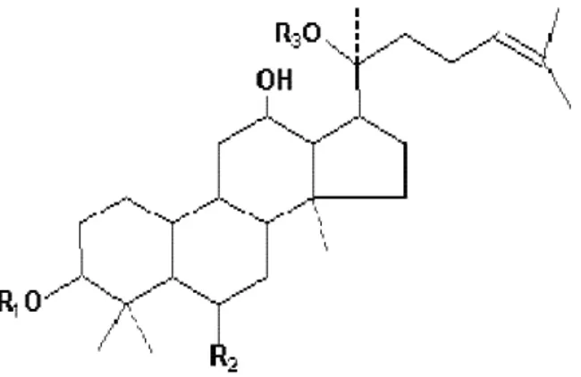 Figura 1 – Estrutura Química do Ginsenosídeo 