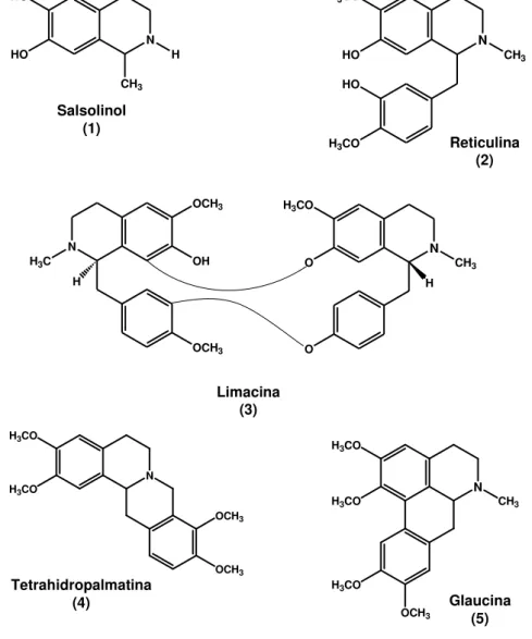 Figura 10. Tipos de alcalóides isoquinolínicos encontrados em espécies da família Annonaceae