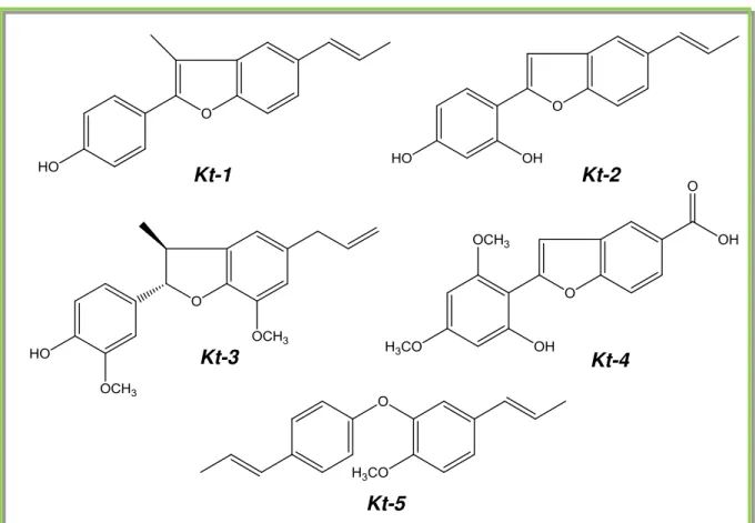 Figura 8. Substâncias isoladas de Krameria tomentosa no presente trabalho. 